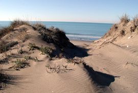 Strand in der Toskana